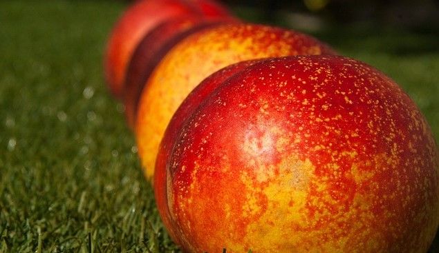 Nanocoating Extends Shelf Life of Fruit and Vegetables