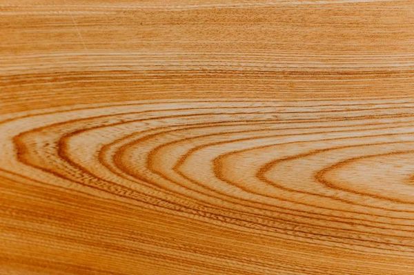Reinventing Wood with Nanotechnology