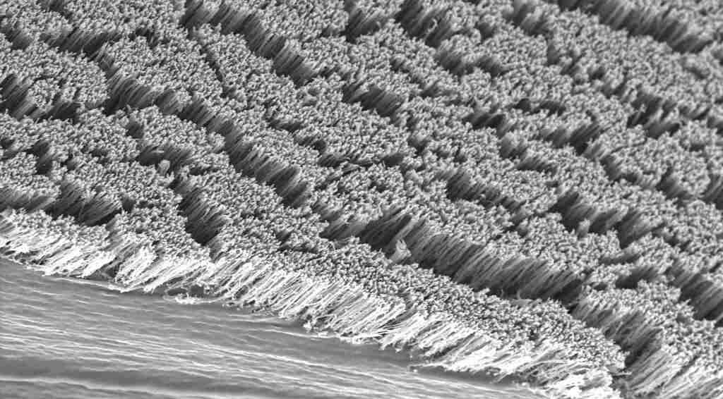 Nanotechnology That Sticks