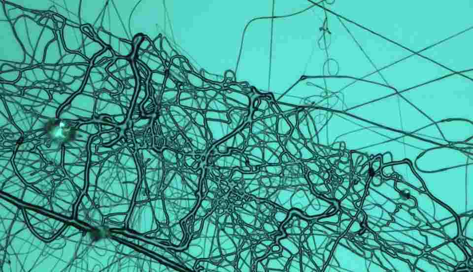 Nanofibres in Industry: A Real Promise but Slow Adoption